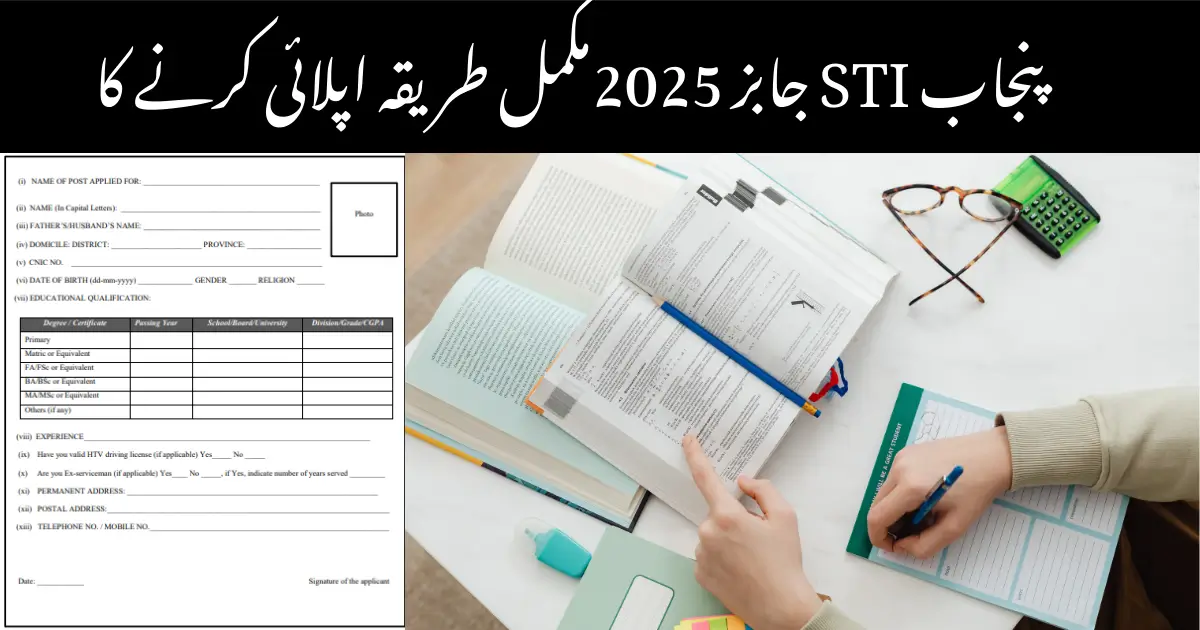 Punjab Sti Jobs 2025